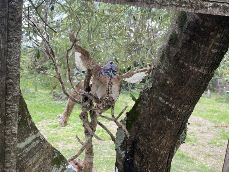 Bois, feuilles et papiers